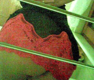 Public Photo of vittoriaviky